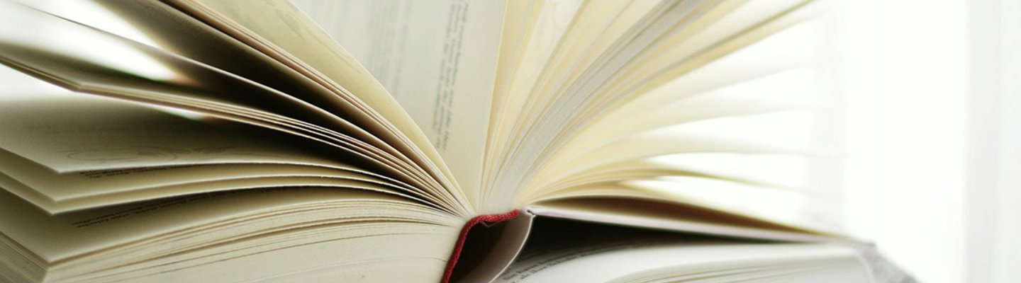 Periodic Reporting Belgium to the CRC